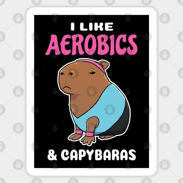 I Like Aerobics and Capybaras Cartoon Sticker by capydays
